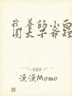 我养的小白脸京圈太子爷短剧