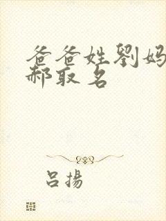 爸爸姓刘妈妈姓郝取名封面