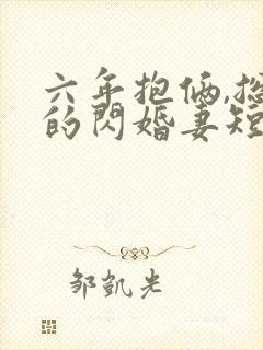 六年抱俩,总裁的闪婚妻短剧