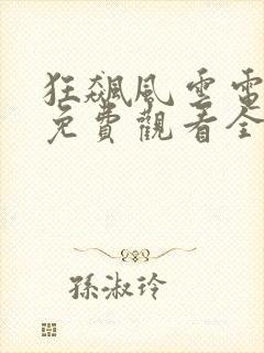 狂飙风云电视剧免费观看全集