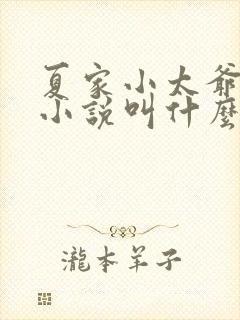 夏家小太爷原著小说叫什么名字
