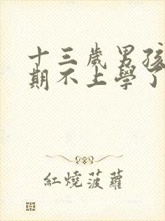 十三岁男孩叛逆期不上学了怎么办封面