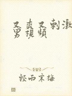 又爽又刺激的男男视频