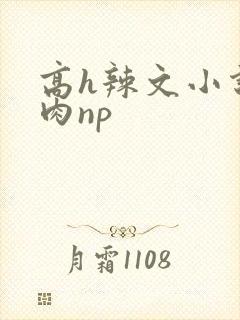高h辣文小说纯肉np