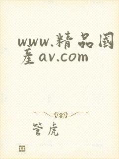 www.精品国产av.com封面
