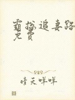 霸总追妻路漫漫免费封面