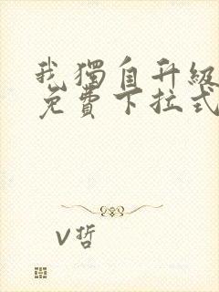 我独自升级动漫免费下拉式第二季