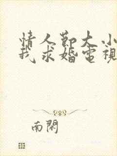 情人节大小姐向我求婚电视连续剧