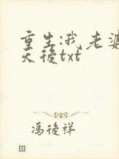 重生:我老婆是天后txt