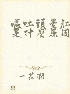 呕吐头晕肚子疼是什么原因