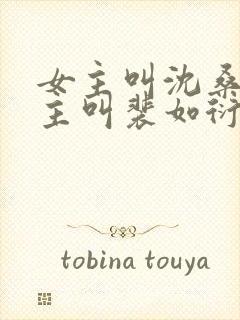 女主叫沈桑宁男主叫裴如衍的小说