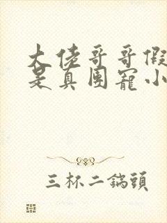 大佬哥哥假千金是真团宠小说