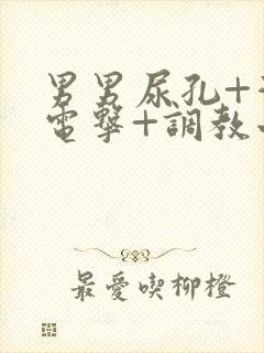 男男尿孔+灌+电击+调教小说封面