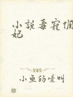 小说毒宠佣兵王妃