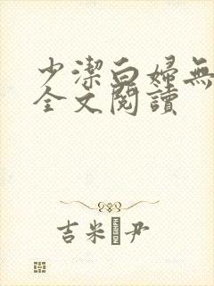 少洁白妇无删减全文阅读封面