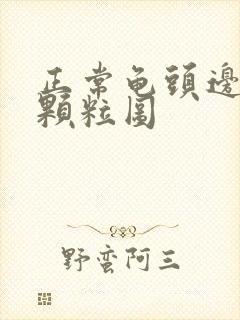 正常龟头边缘小颗粒图