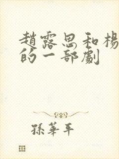 赵露思和杨洋演的一部剧