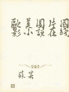 欧美图片国产电影小说在线观看