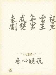 未成年电视剧日剧双男主免费观看封面