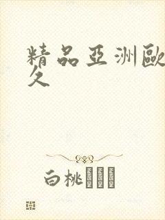 精品亚洲欧美久久