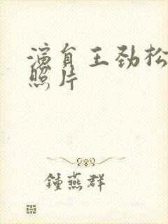 演员王劲松老婆照片封面