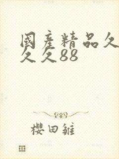 国产精品久久久久久88封面