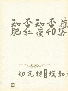 知否知否应是绿肥红瘦40集