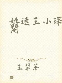 姚远王小琛笔趣阁封面