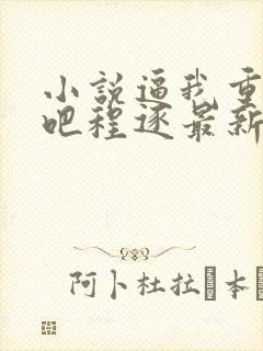 小说逼我重生是吧程逐最新更新封面