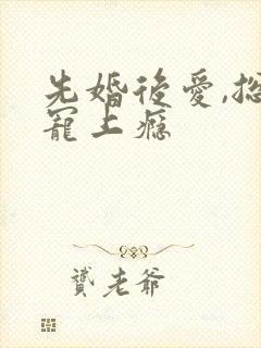 先婚后爱,总裁宠上瘾