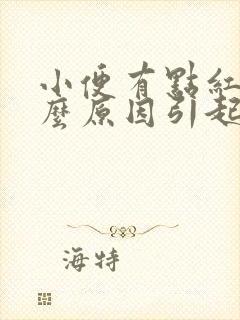 小便有点红是什么原因引起的