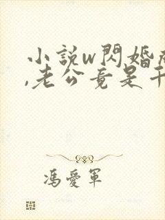 小说w闪婚成宠,老公竟是千亿大佬》