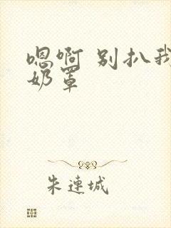 嗯啊 别扒我的奶罩