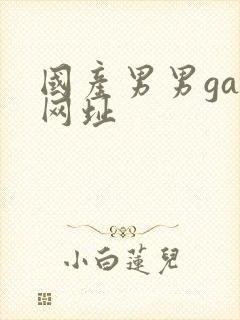 国产男男gay网址