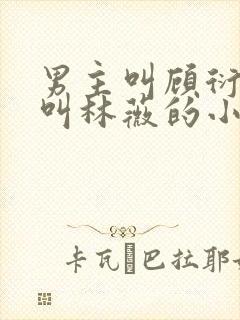 男主叫顾衍女主叫林薇的小说