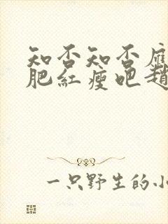 知否知否应是绿肥红瘦吧赵丽颖