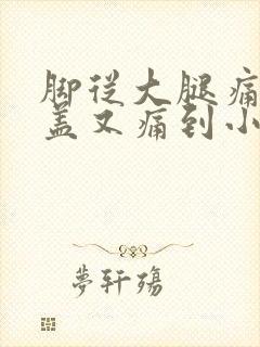 脚从大腿痛到膝盖又痛到小腿