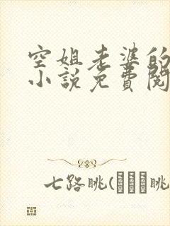 空姐老婆的秘密小说免费阅读