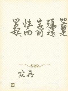 男性生殖器官勃起向前还是向上