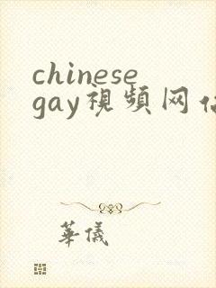 chinesegay视频网站
