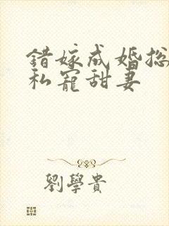 错嫁成婚总裁的私宠甜妻