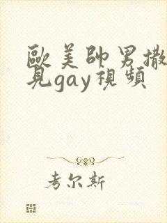 欧美帅男撒尿可见gay视频