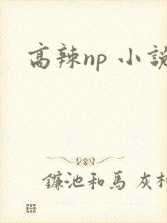 高辣np 小说