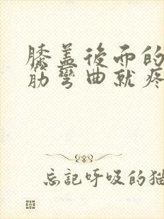 膝盖后面的腿窝筋弯曲就疼怎么回事