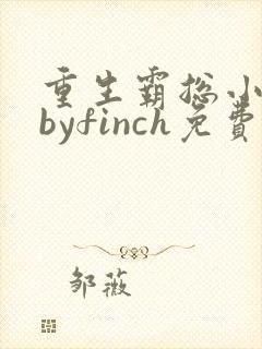 重生霸总小娇妻byfinch免费阅读小说
