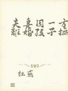 夫妻因一方出轨离婚孩子抚养权怎么判定