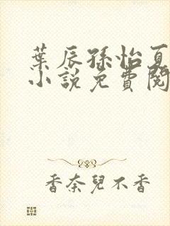 叶辰孙怡夏若雪小说免费阅读全文