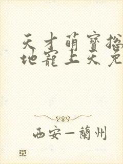 天才萌宝总裁爹地宠上天免费