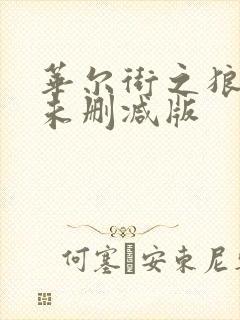 华尔街之狼电影未删减版