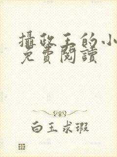 摄政王的小宠妃免费阅读